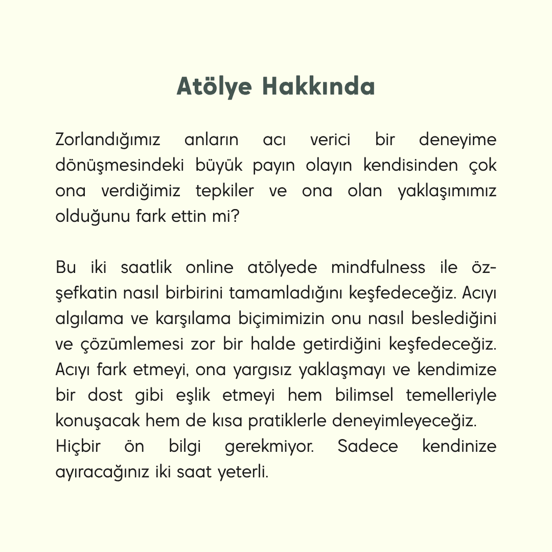 "Mindfulness ile Şefkatli Bakış" Atölyesi